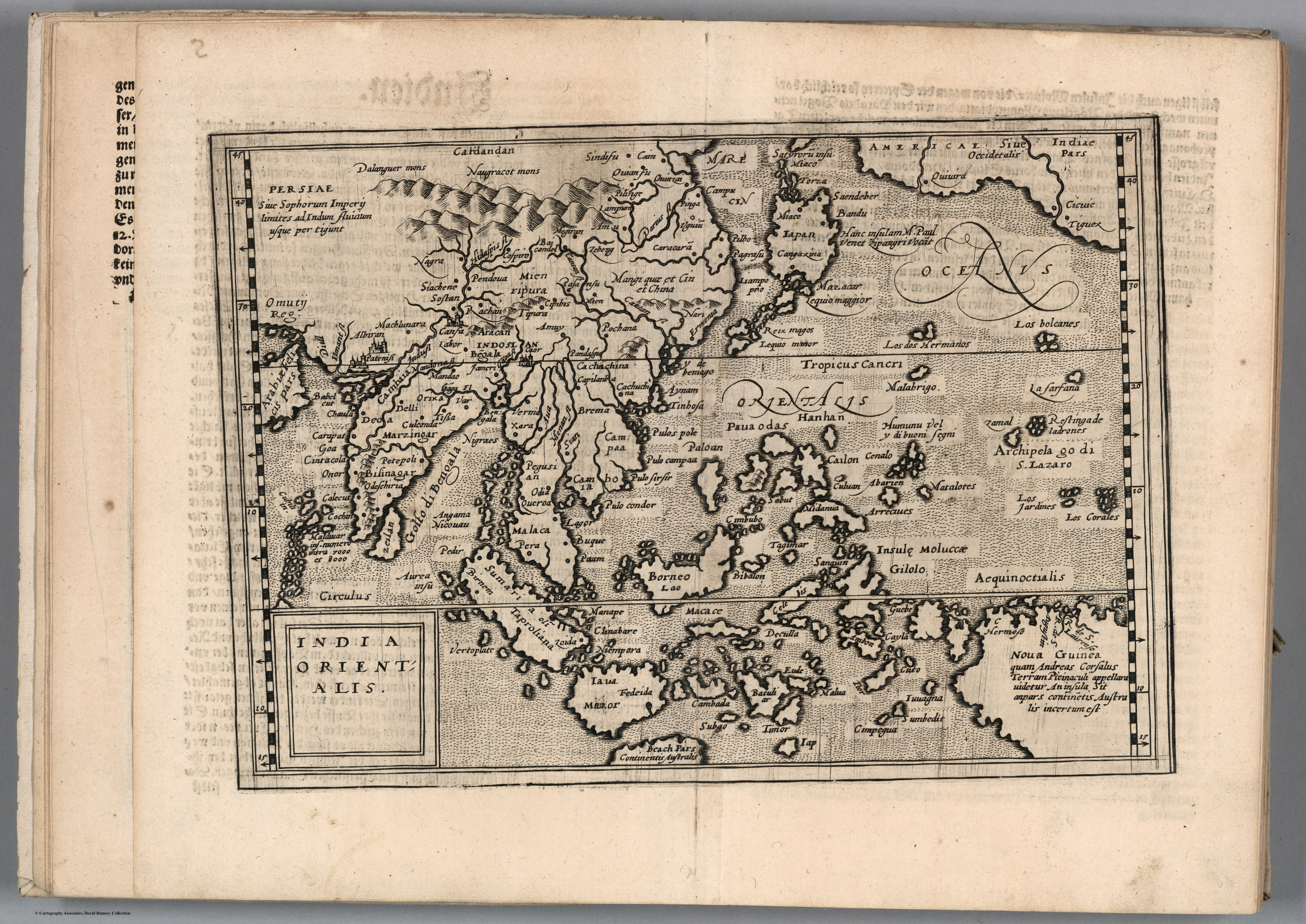 India orientalis
