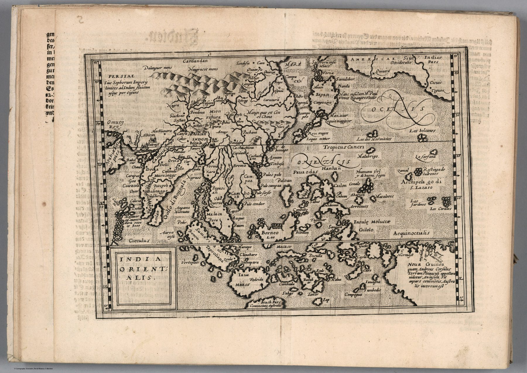 India orientalis